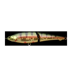 POINTER 120 S - Aurora Gold Northern Perch