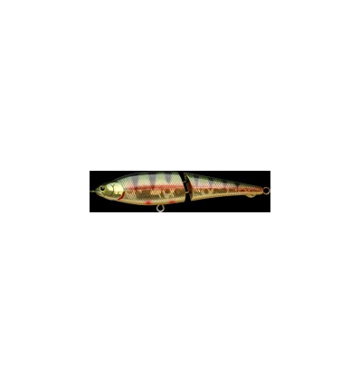 POINTER 120 S - Aurora Gold Northern Perch