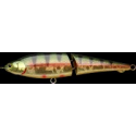 POINTER 120 S - Aurora Gold Northern Perch
