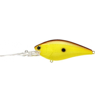 FLAT CB D-20 Chartreuse Rootbeer