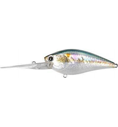 FLAT CB D-20  MS American Shad