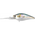 FLAT CB D-20  MS American Shad