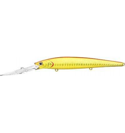 SW Staysee 120SP - Salty Zebra Orange Gold