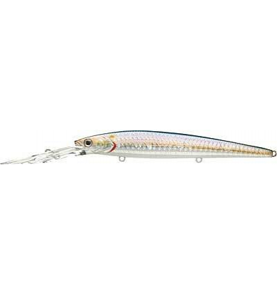 SW Staysee 120SP - Zebra MS American Shad