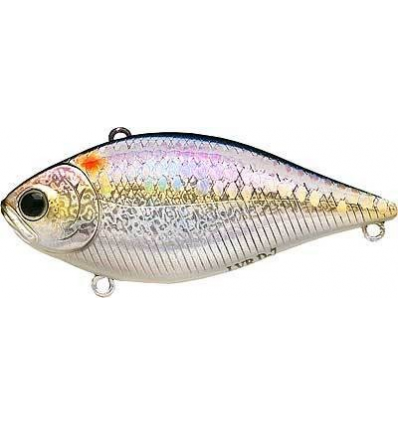 LVR D-7 - MS American Shad