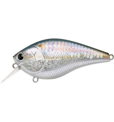 LC 2.5 RT MS American Shad