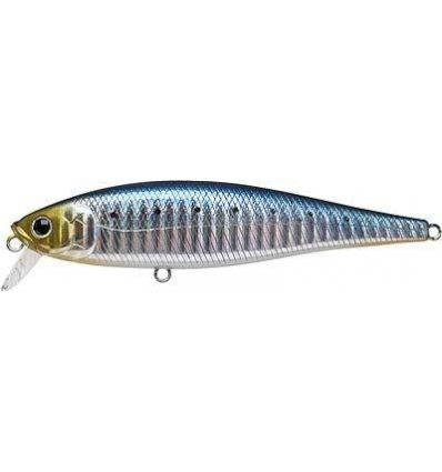 SW Pointer 100SR - Zebra Sardine
