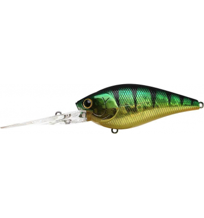 Flat CB D20 - Aurora Green Perch
