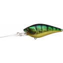 Flat CB D20 - Aurora Green Perch