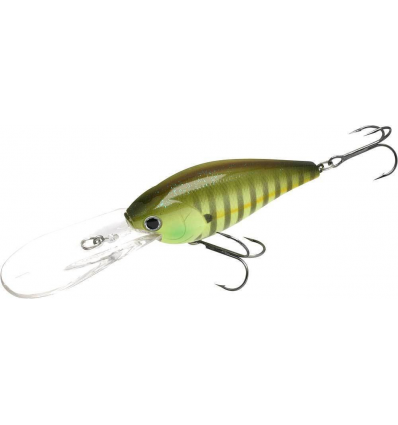 Flat CB D20 - Sexy Chartreuse Perch