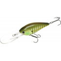 Flat CB D20 - Sexy Chartreuse Perch