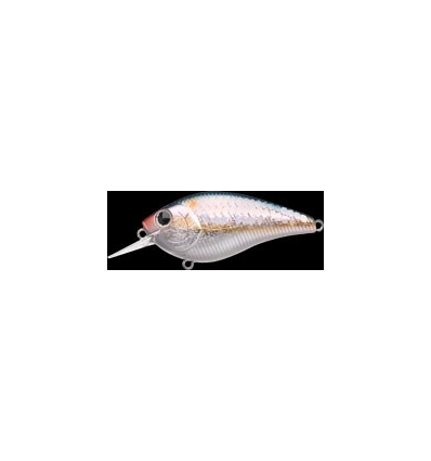 S.K.T. MR RT MS American Shad