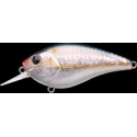 S.K.T. MR RT MS American Shad