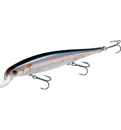 Flash Pointer 115 - MS American Shad
