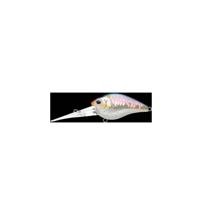 FAT MINI D-7 MS American Shad