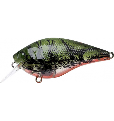 RC 1.5 RT TO WATER MELON CRAW