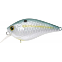 LC 1.5 DRS SASSY SHAD