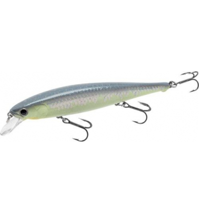 FLASH POINTER 115 MR MS CRACK