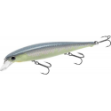 FLASH POINTER 115 MR MS CRACK