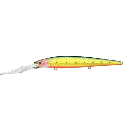STAYSEE SW 120 SP GOLDEN GREEN SARDINE