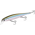 FLASH POINTER 115 MR MS MJ HERRING