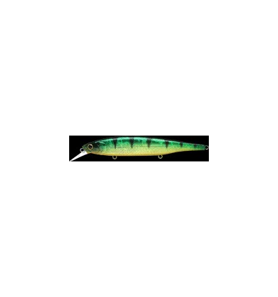 FLASH POINTER 115 MR Aurora Green Perch
