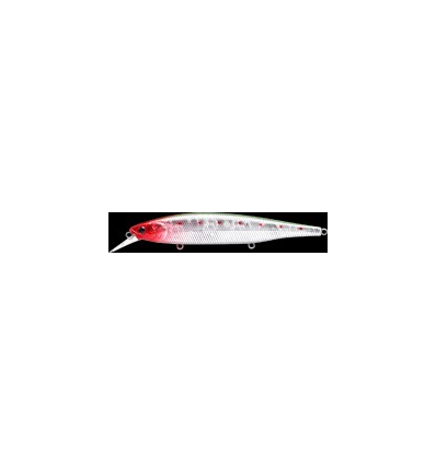 FLASH POINTER 115 MR Nishiki