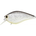 LC 2.5 DRS SHAD SHIFT