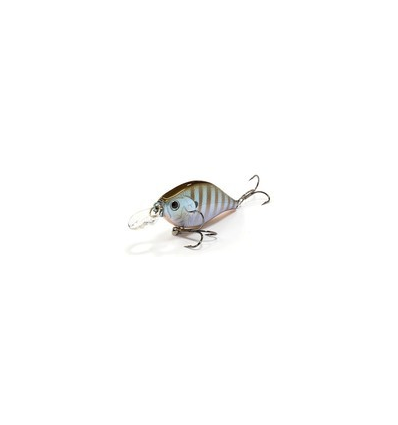 WOBTY 61 BLUE GILL