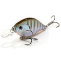 WOBTY 61 BLUE GILL