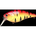 FAT CB SR Fire Tiger
