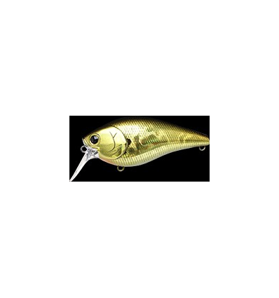 FAT CB MR Aurora Gold