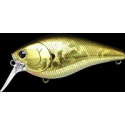 FAT CB MR Aurora Gold