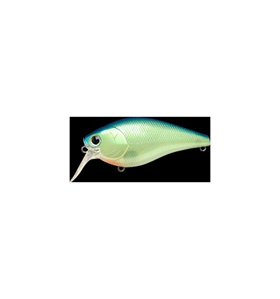 FAT CB MR Chartreuse Blue