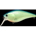 FAT CB MR Chartreuse Blue