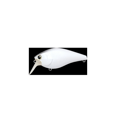 FAT CB MR White and Gray