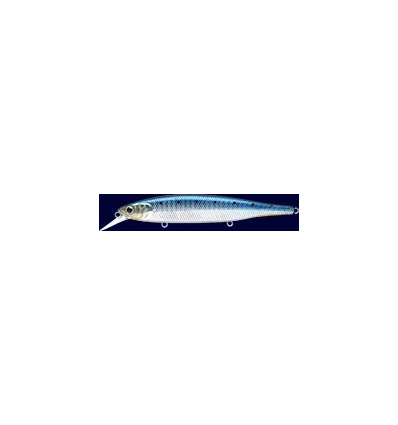 SW FLASH POINTER 115 MR Zebra Sardine