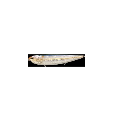 SAMMY 128 F MS American Shad
