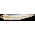 SAMMY 128 F MS American Shad