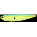 SAMMY 128 F Peacock