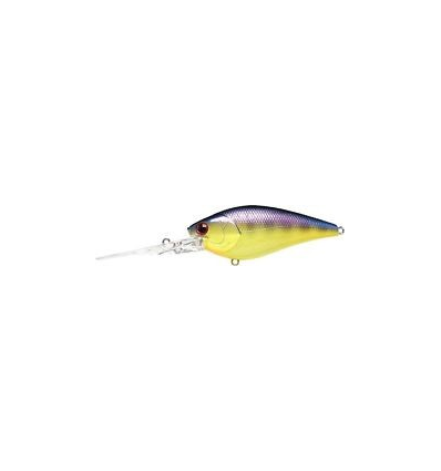 FLAT CB-20 TO GILL