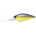 FLAT CB-20 TO GILL