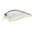LC 2.5 RT SHAD SHIFT