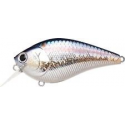 LC RTO 2.5 MS AMERICAN SHAD