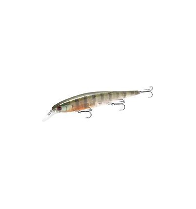 FLASH POINTER 115 MR FLAKE FLAKE MALE GILL