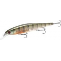 FLASH POINTER 115 MR FLAKE FLAKE MALE GILL