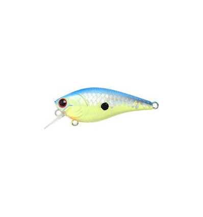LC FAT CB BDS MAGIC 2.2