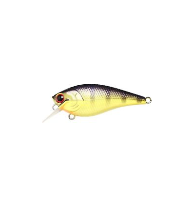 LC FAT CB BDS MAGIC 2.2