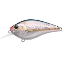 FLAT Mini MR Japan Craw