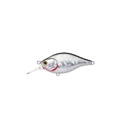 WOBTY 61 BLUE GILL